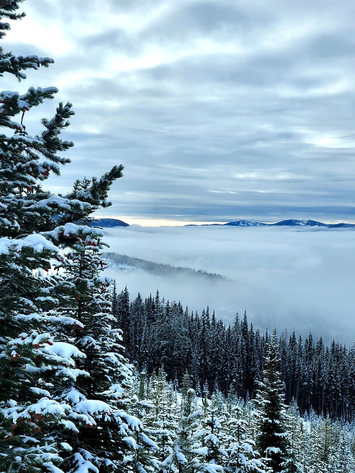 Fog settling into the valley below Rossland on a winter morning.